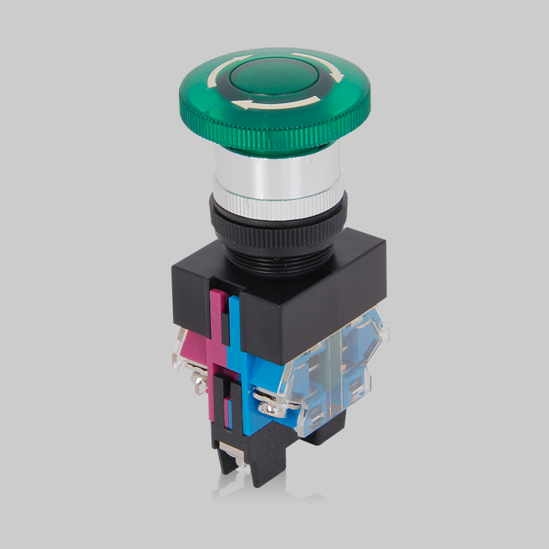 人民電器，人民電器集團(tuán)，人民電器集團(tuán)有限公司，中國人民電器，RDA37系列按鈕開關(guān)