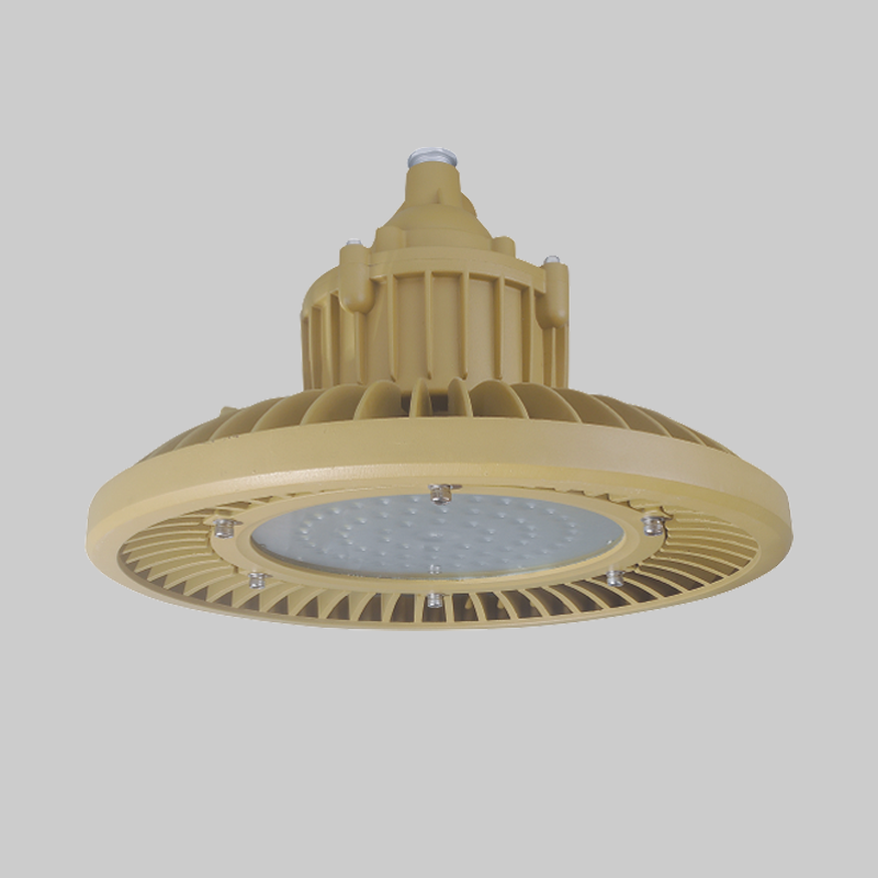 人民電器，人民電器集團(tuán)，人民電器集團(tuán)有限公司，中國(guó)人民電器，RDB98-9610防爆免維護(hù)節(jié)能燈(LED)