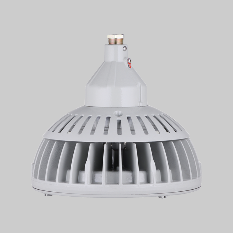 人民電器，人民電器集團，人民電器集團有限公司，中國人民電器，RDB98系列防爆免維護節(jié)能燈(LED)