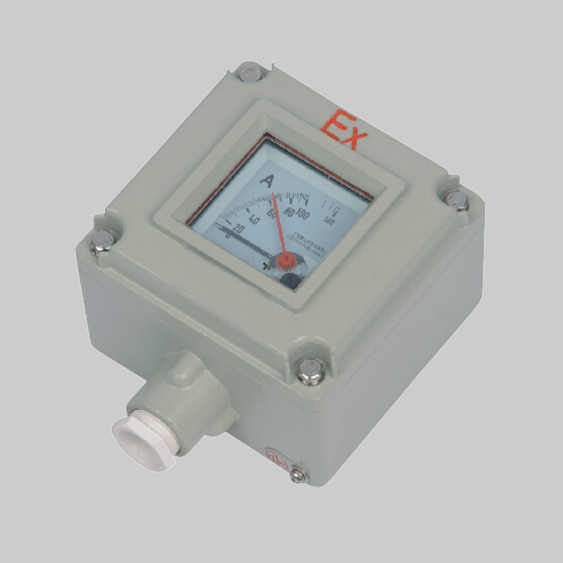 人民電器，人民電器集團，人民電器集團有限公司，中國人民電器，BYB系列防爆儀表（e）