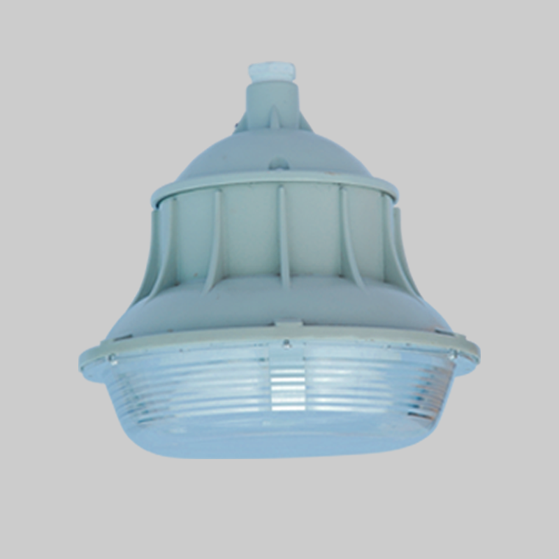 人民電器，人民電器集團(tuán)，人民電器集團(tuán)有限公司，中國(guó)人民電器，F(xiàn)AD防水防塵防腐燈