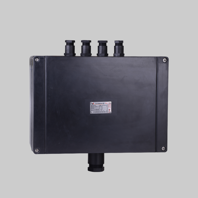 人民電器，人民電器集團(tuán)，人民電器集團(tuán)有限公司，中國(guó)人民電器，F(xiàn)XJ系列防水防塵防腐接線(xiàn)箱