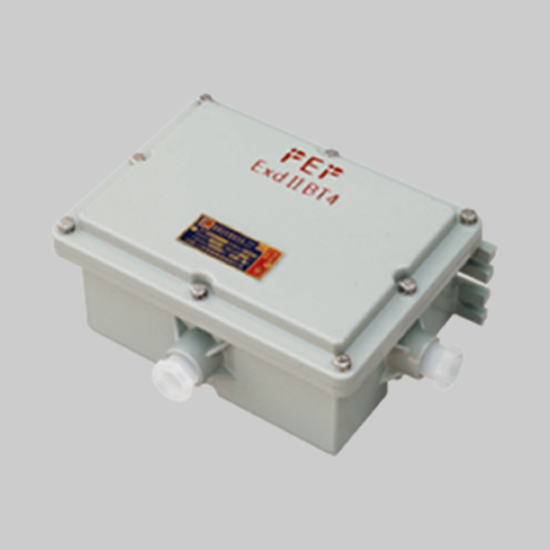 人民電器，人民電器集團(tuán)，人民電器集團(tuán)有限公司，中國(guó)人民電器，BAZ-DIP系列粉塵防爆鎮(zhèn)流器（DIPA)