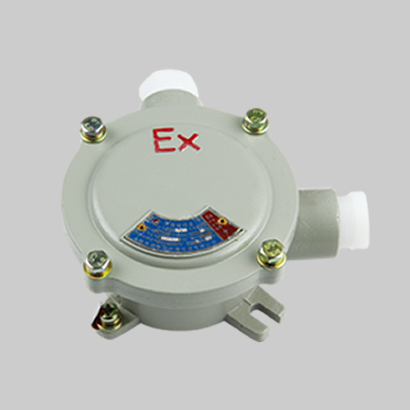 人民電器，人民電器集團(tuán)，人民電器集團(tuán)有限公司，中國人民電器，BHD-DIP系列粉塵防爆接線盒(DIP A20)