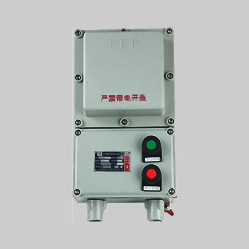 人民電器，人民電器集團(tuán)，人民電器集團(tuán)有限公司，中國人民電器，BQD-DIP粉塵防爆電磁起動(dòng)器(DIP)