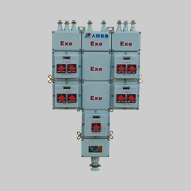 人民電器，人民電器集團(tuán)，人民電器集團(tuán)有限公司，中國人民電器，BXM(D)-DIP系列粉塵防爆照明(動(dòng)力)配電箱(DIP)