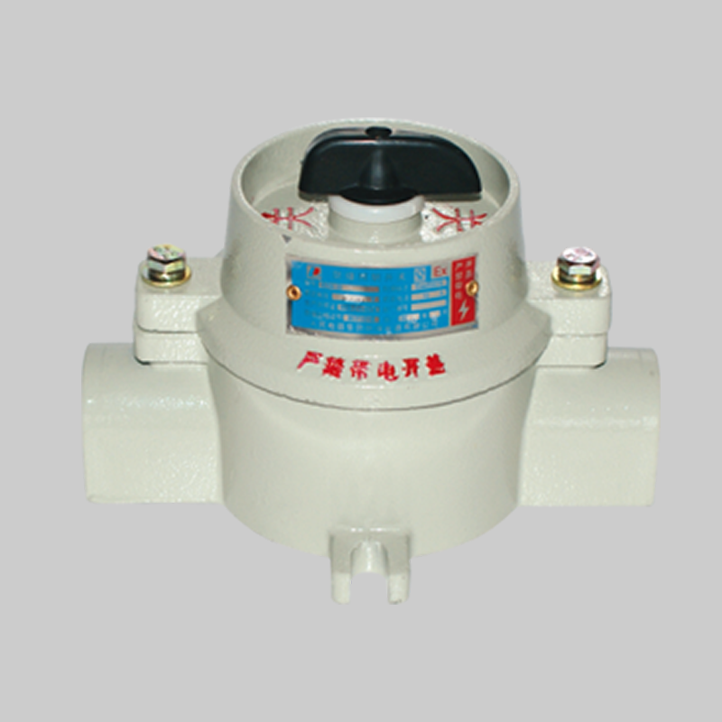 人民電器，人民電器集團(tuán)，人民電器集團(tuán)有限公司，中國人民電器，BZM-DIP系列粉塵防爆照明開關(guān)(DIP)