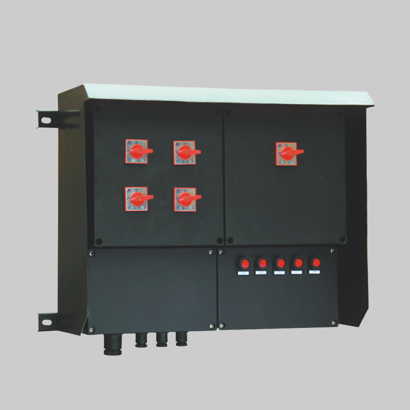 人民電器，人民電器集團(tuán)，人民電器集團(tuán)有限公司，中國(guó)人民電器，BXM(D)8050系列防爆防腐照明（動(dòng)力）配電箱（ⅡC）