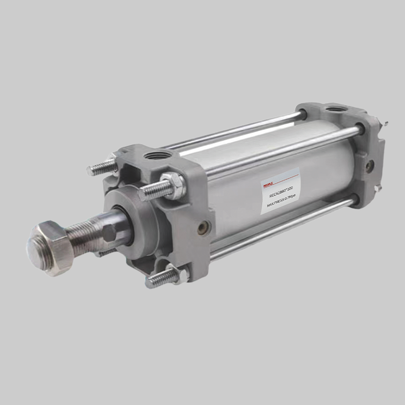 人民電器，人民電器集團(tuán)，人民電器集團(tuán)有限公司，中國人民電器，RECA2系列標(biāo)準(zhǔn)氣缸