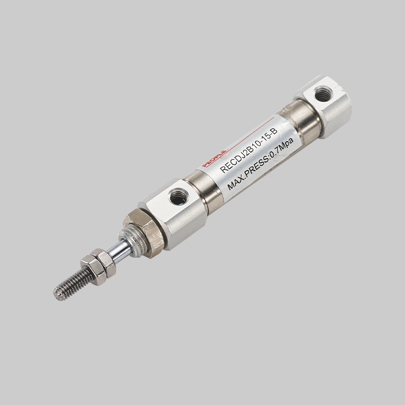 人民電器，人民電器集團(tuán)，人民電器集團(tuán)有限公司，中國人民電器，RECJ2系列不銹鋼(單作用)迷你氣缸