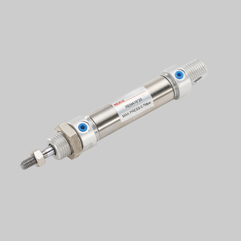 人民電器，人民電器集團(tuán)，人民電器集團(tuán)有限公司，中國人民電器，REMA系列不銹鋼迷你氣缸