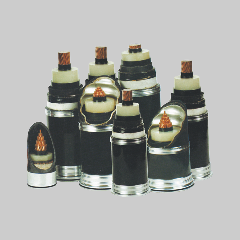 人民電器，人民電器集團，人民電器集團有限公司，中國人民電器，110kV交聯聚乙烯絕緣電力電纜